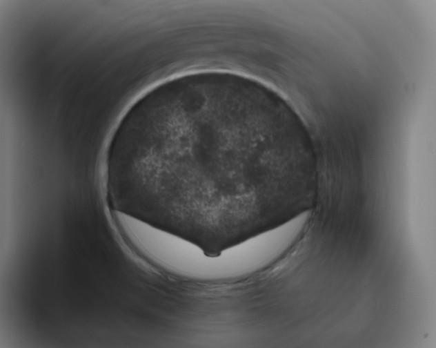 X0000094191519200711161738