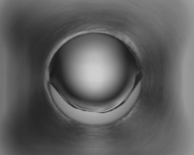 X0000094191520200711161738