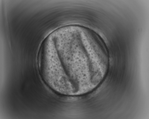 X0000094191521200711161738