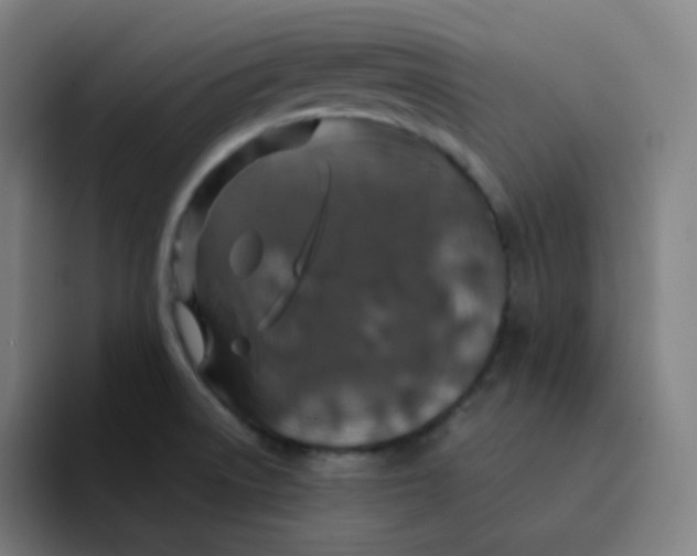 X0000094191522200711161738