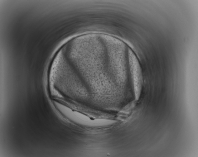 X0000094191523200711161738