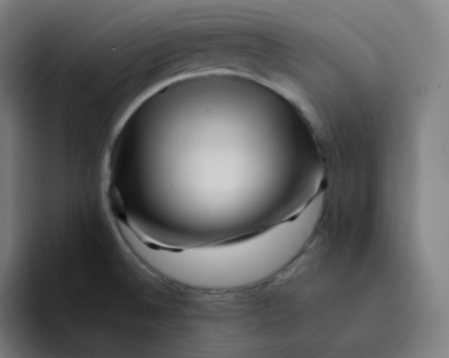 X0000094191524200711161738