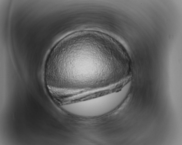 X0000094191525200711161738