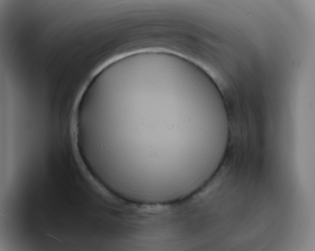 X0000094191526200711161738