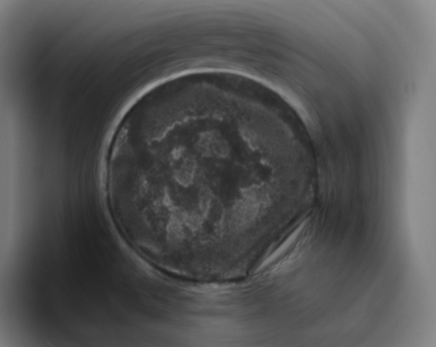 X0000094191527200711161738