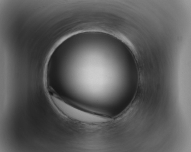 X0000094191528200711161738