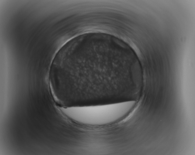 X0000094191529200711161738