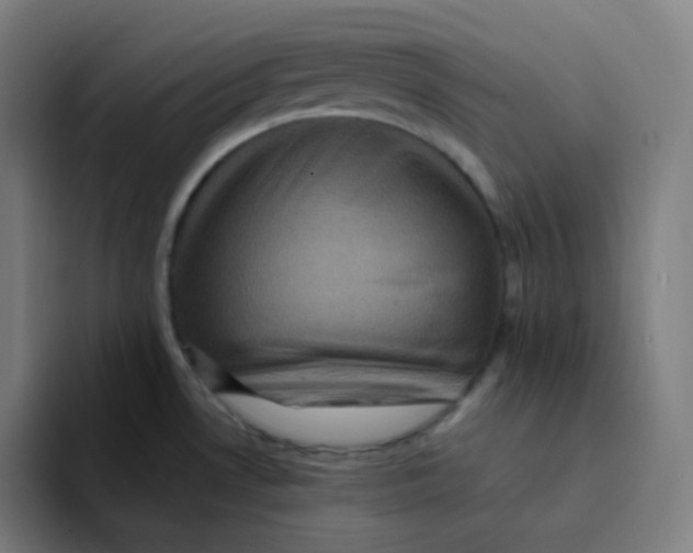 X0000094191530200711161738