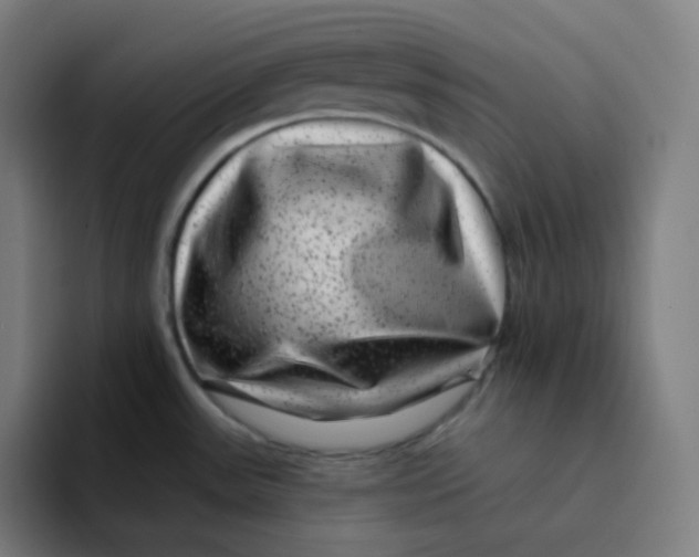 X0000094191531200711161738