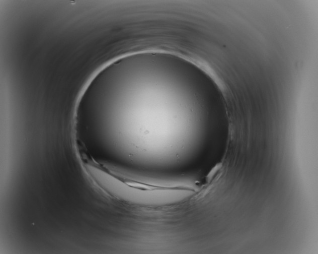 X0000094191532200711161738