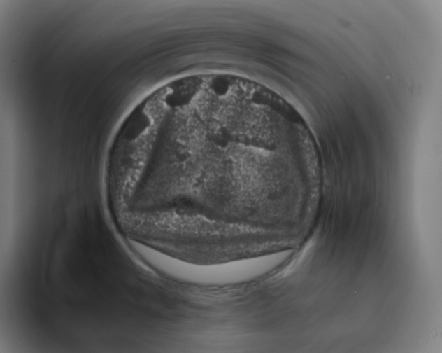 X0000094191533200711161738