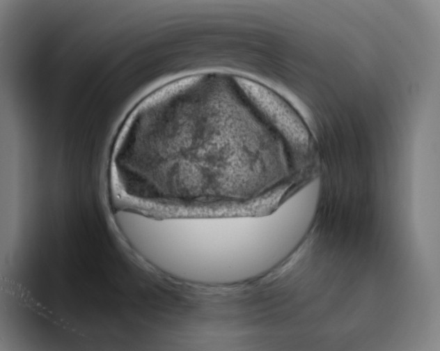 X0000094191534200711161738