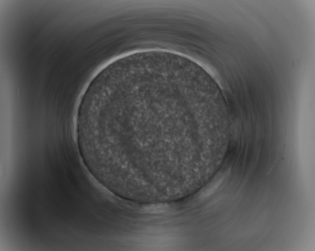 X0000094191535200711161738