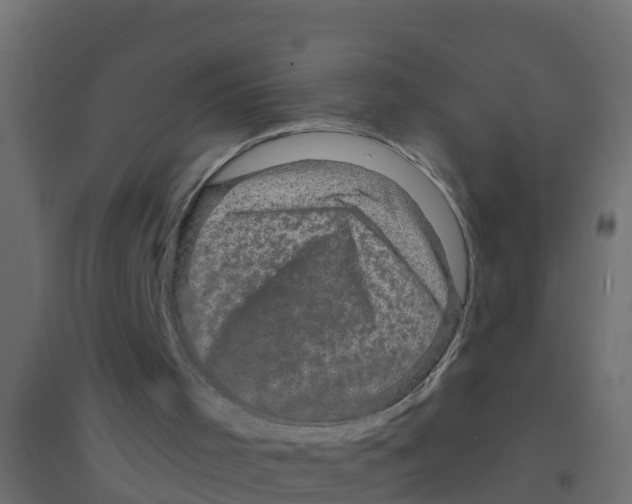X0000094190001200711241625