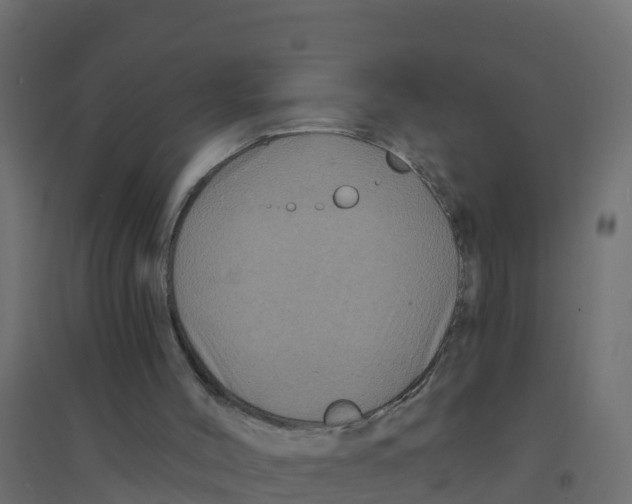 X0000094190004200711241625