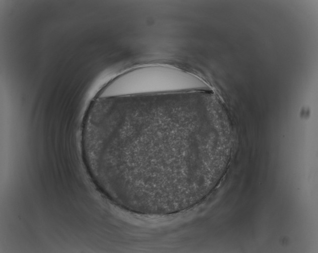 X0000094190006200711241625