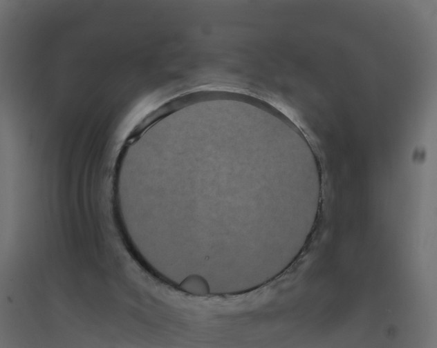 X0000094190007200711241625