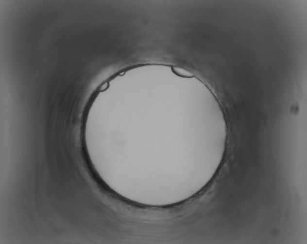 X0000094190008200711241625