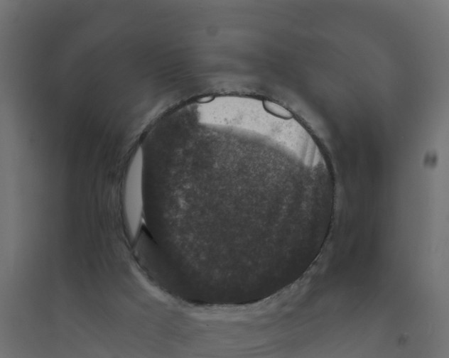 X0000094190009200711241625