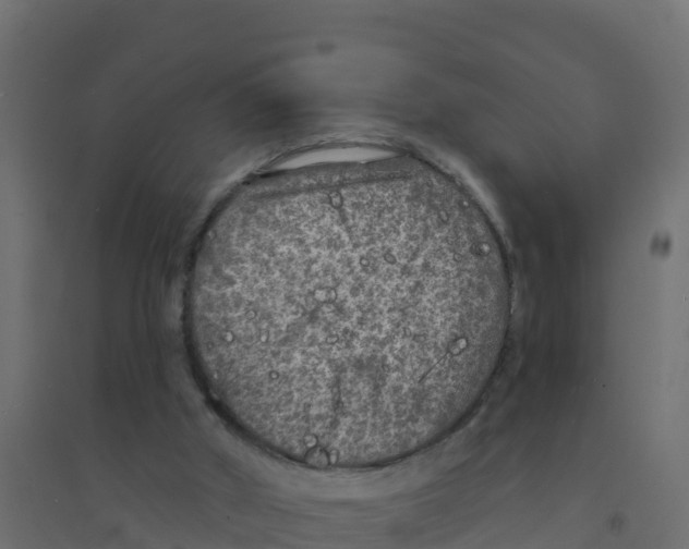 X0000094190010200711241625