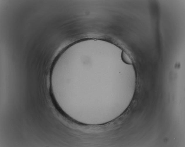 X0000094190011200711241625