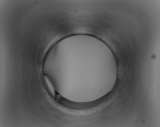 X0000094190015200711241625