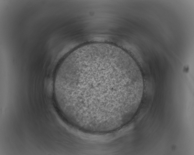 X0000094190016200711241625
