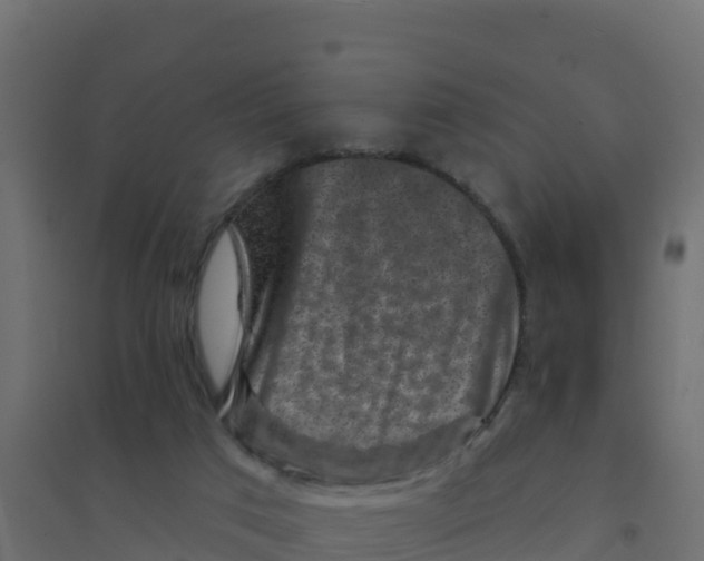 X0000094190017200711241625