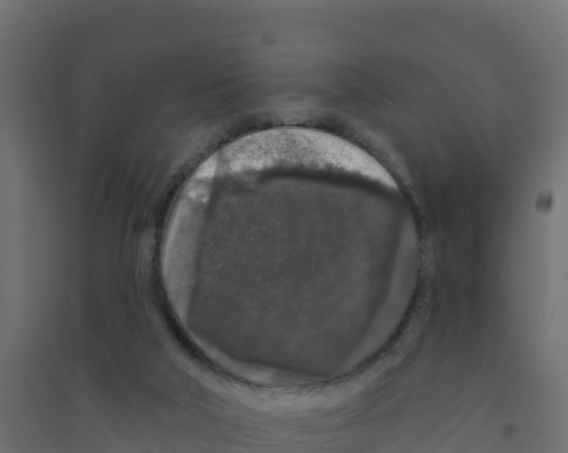 X0000094190018200711241625