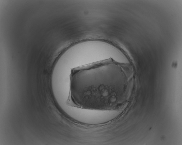 X0000094190019200711241625