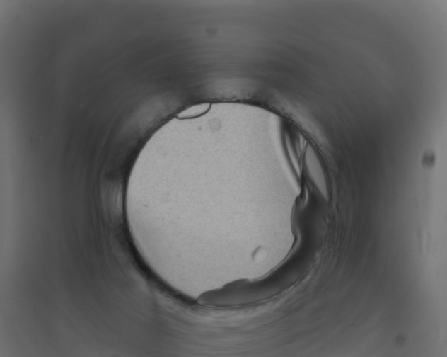 X0000094190021200711241625