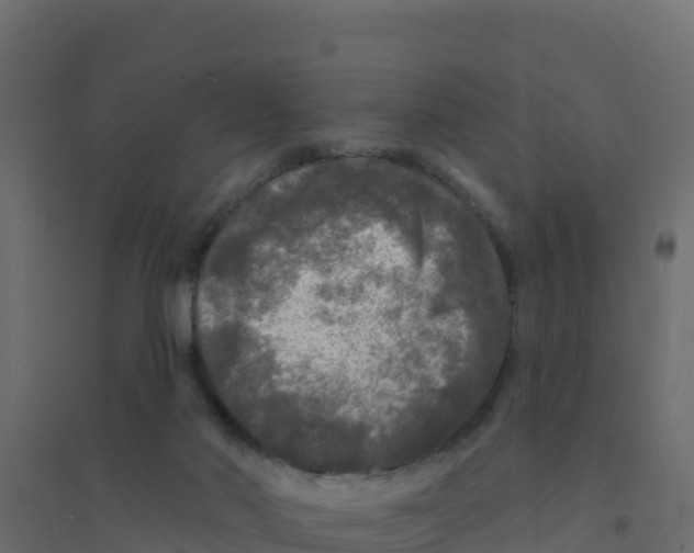 X0000094190022200711241625