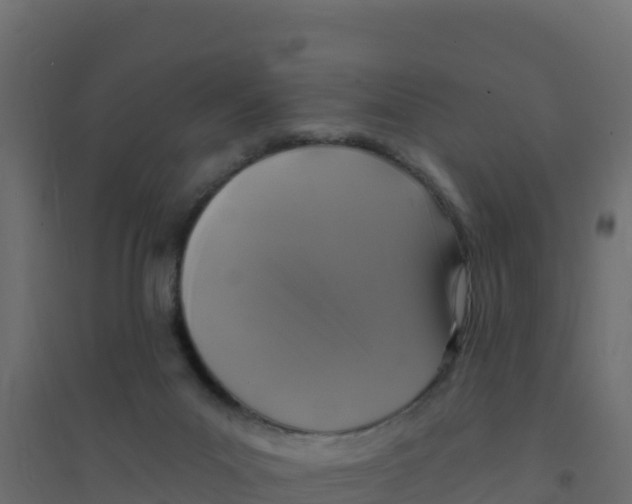 X0000094190023200711241625