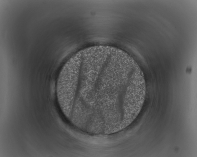 X0000094190024200711241625