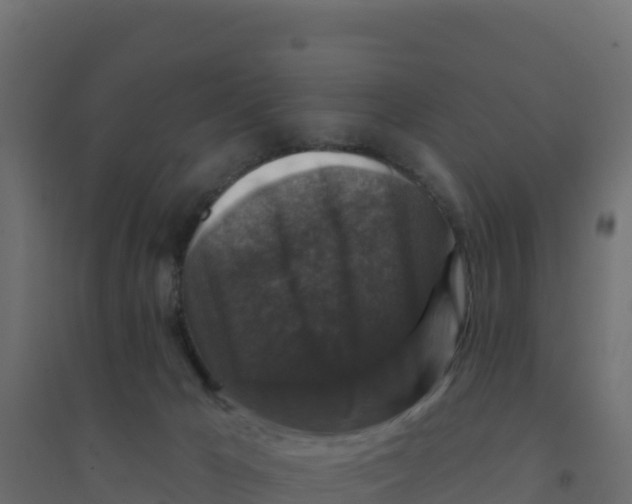 X0000094190029200711241625