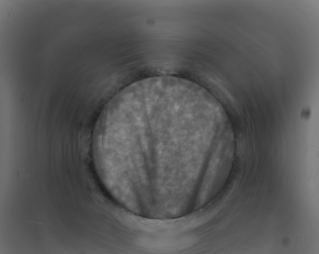 X0000094190030200711241625