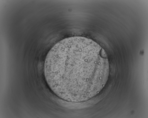 X0000094190034200711241625