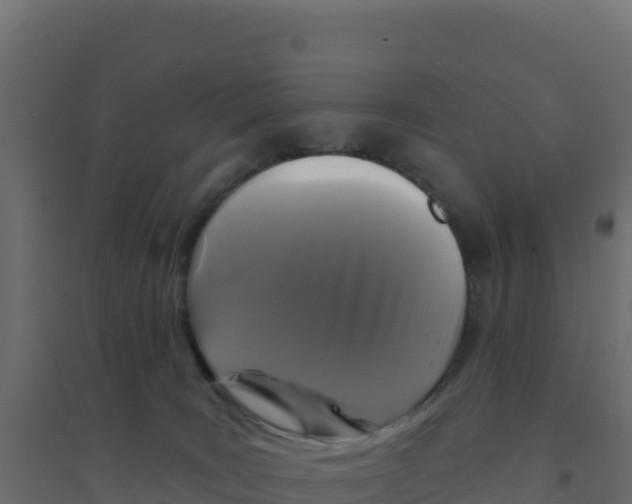 X0000094190035200711241625