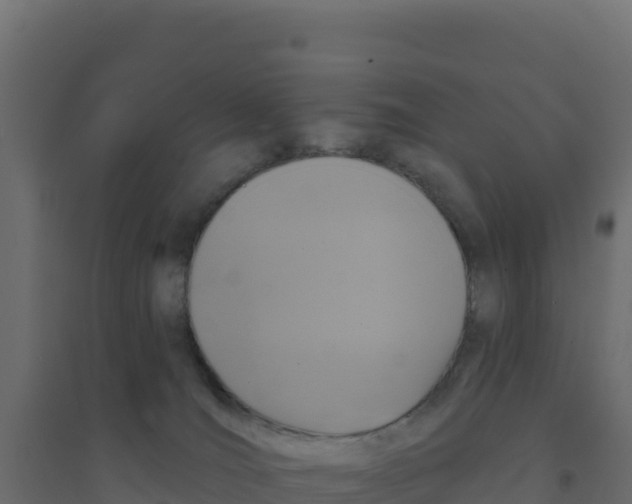 X0000094190036200711241625