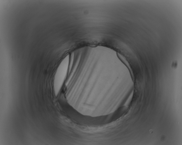 X0000094190037200711241625