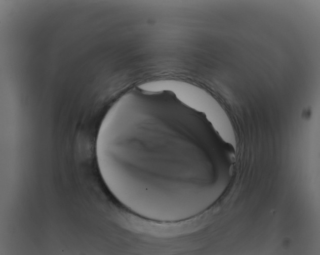 X0000094190039200711241625