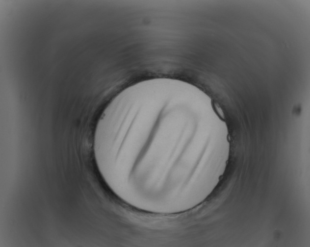 X0000094190040200711241624
