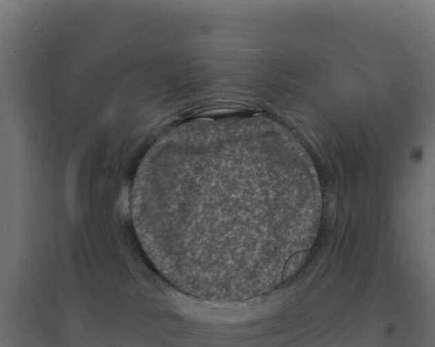 X0000094190042200711241624