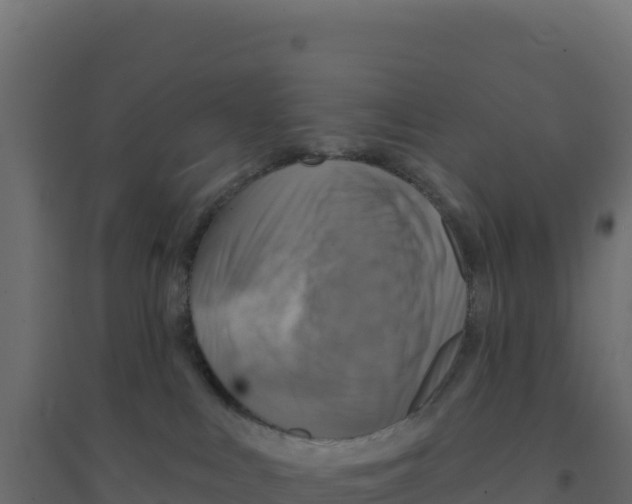 X0000094190043200711241624