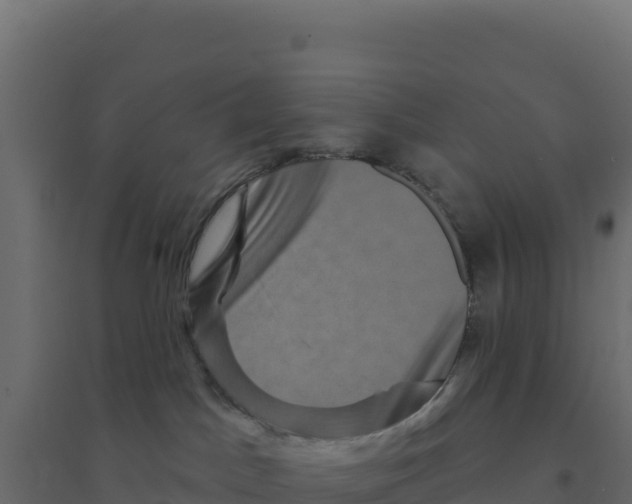 X0000094190045200711241624