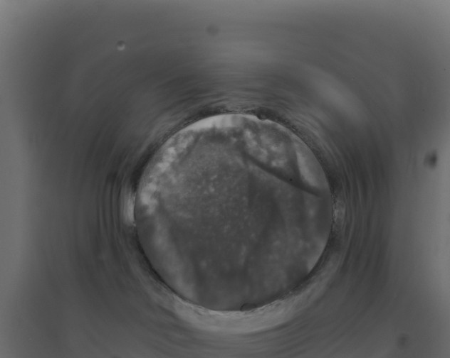 X0000094190046200711241624
