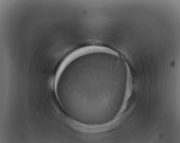 X0000094190047200711241624