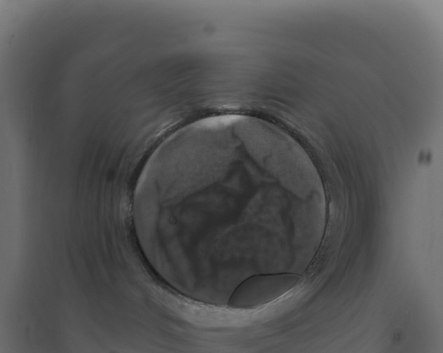 X0000094190048200711241624