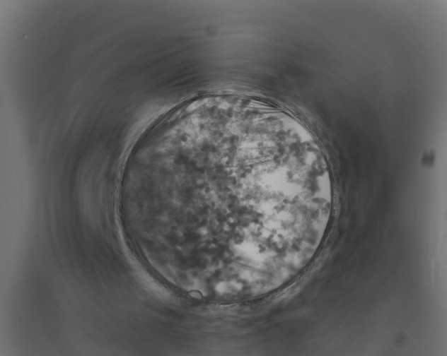 X0000094190049200711241624