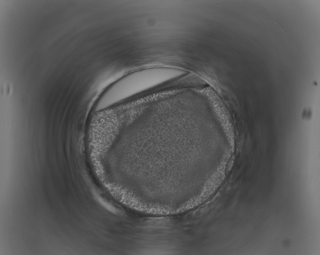 X0000094190050200711241624